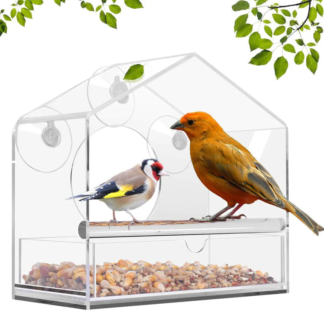 Window Bird Feeder