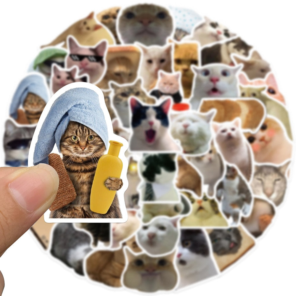 Meme Cat Sticker pack