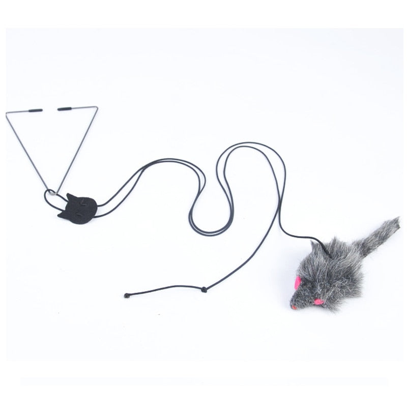Hanging Retractable Cat Toy