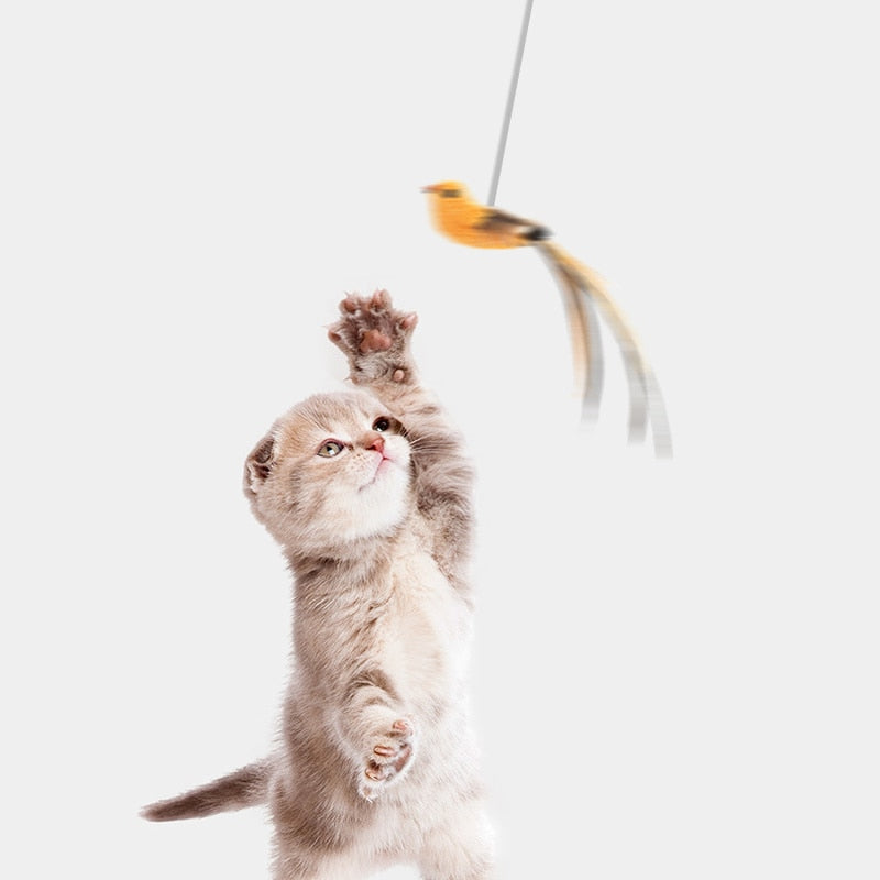 Hanging Retractable Cat Toy