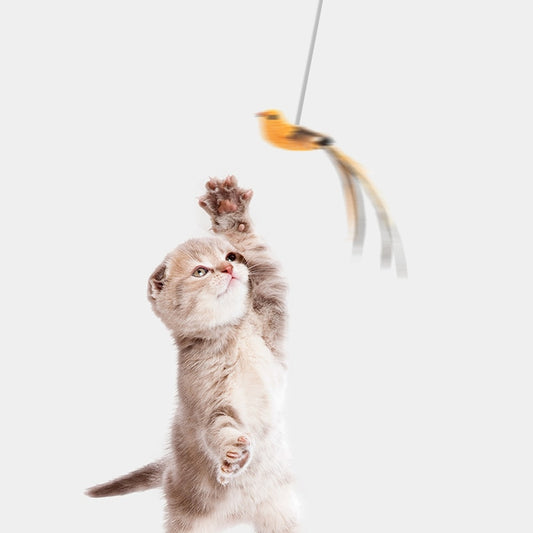 Hanging Retractable Cat Toy