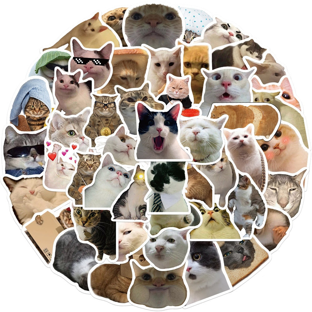 Meme Cat Sticker pack